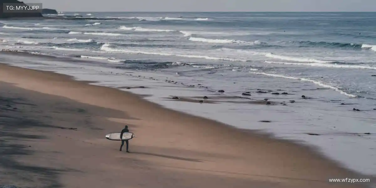 🌍【赛事集结】从英超到 NBA,你的专属赛事库!